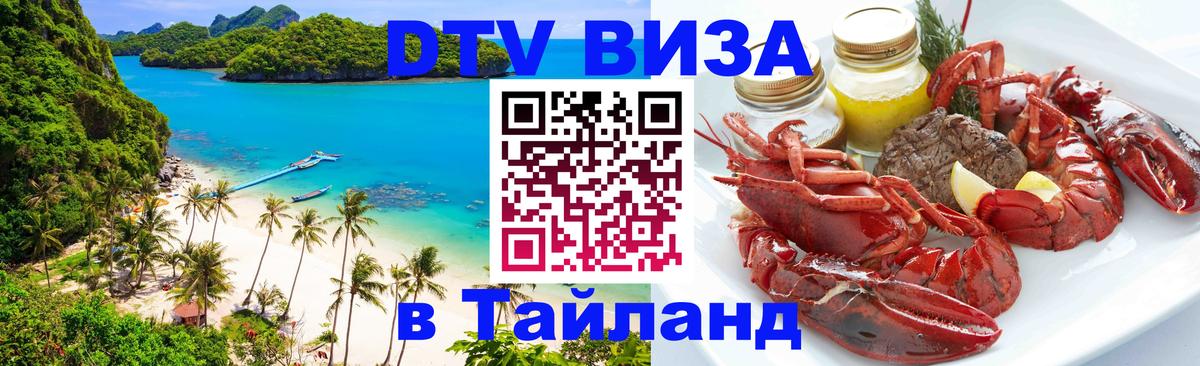 Оформление DTV визы под ключ: стоимость и тарифы, только загранпаспорт - Сыктывкар  21.11.2025 